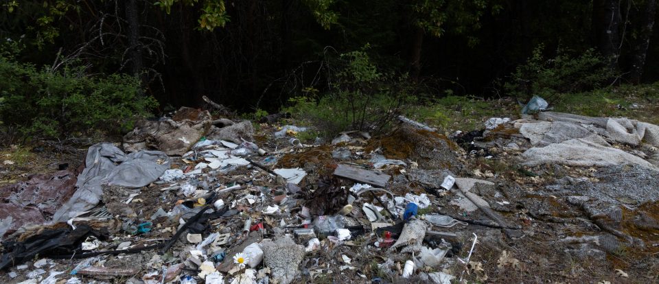 oregons-forests-have-a-trash-problem-all-taken-in-less-than-v0-gwqa1dx5xr7d1-scaled.jpg