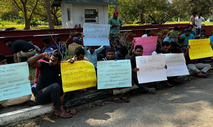 Strike-DailyCeylon-1.jpg