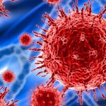 The current image has no alternative text. The file name is: coronavirus23325-1588825807.jpg