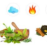 The current image has no alternative text. The file name is: Siddha-Maruthuvam.jpg