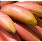 The current image has no alternative text. The file name is: benefits-of-eating-red-banana-sevvazhai2-1724785019.jpg